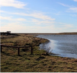 Reserva Natural Urbana Laguna de los Patos