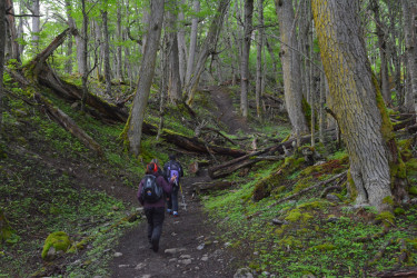 Senderismo y Trekking en Ushuaia