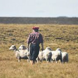 Fiesta del Ovejero 2026