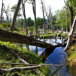 Cerro Michi trail
